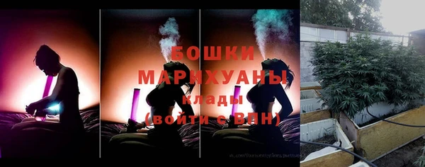 шишки Волосово