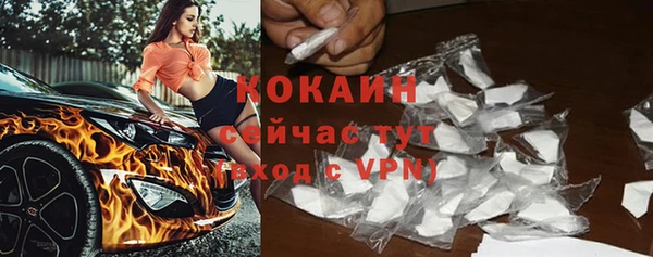 шишки Волосово